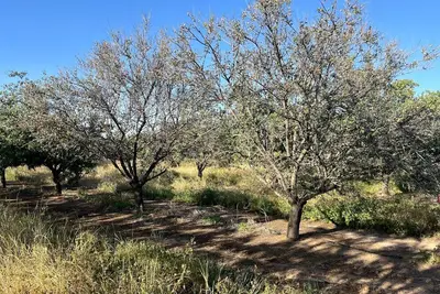 Image de Relax on 475 acre scenic ranch, 4-Bed\/Br, Surrounded by Nature, 1. 5hr -Yosemite.