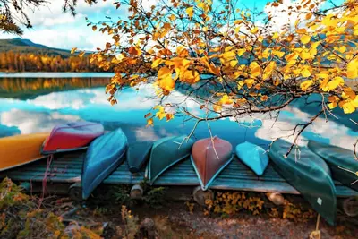 Pet-friendly suites in Largo