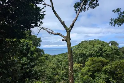 Image de Charming Villa with Private Pool WiFi and Ac in Fabulous Dominical.