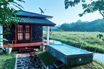 Image de One day in the middle of a lovely paddy field