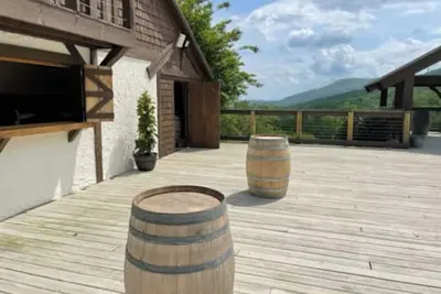 Image de North Georgia Farm Vineyard near Chattanooga