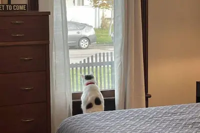 Image de Indy Charm: Minutes to Downtown!