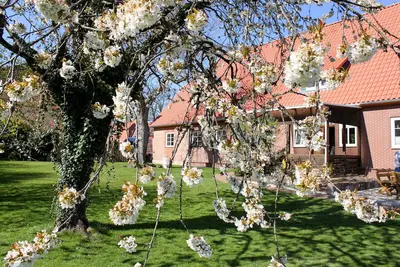Image de Vacation apartment/apartment for 8 guests with 140m² in Suderburg (267160)