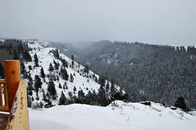 Image de Rocky Mountain Elk Ranch Winter