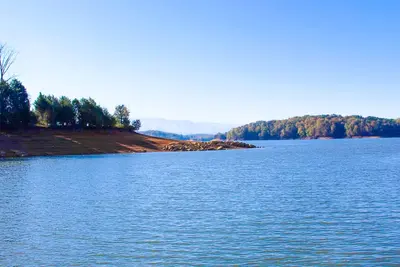 Image de Luxury lakefront cabin with free attraction tickets, fire pit, dock & deck
