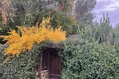 Image de Charming 2 bedroom home with loft and guest house in serene downtown Ojai