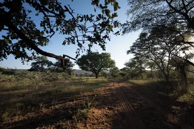 Image de Lodge de chasse privé Mmakuba, villa à deux chambres 2
