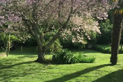 Image de Cute, Cottagey and Central! Spacious, lovely indoor outdoor flow to great garden