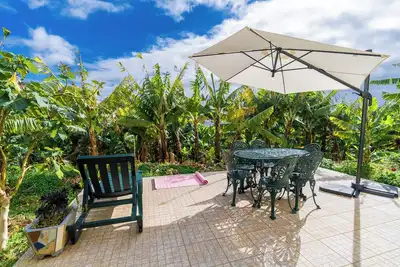 Image de Sleep Among the Bananas: Rustic Cottage with Trails at Your Doorstep