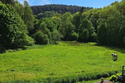 Image de El Mirador - Holiday apartment near NĂĽrburgring - Eifel - Laacher See - Ahrtal