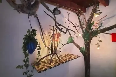 Image de Eco Hostal Tierra de Agua y Fuego
