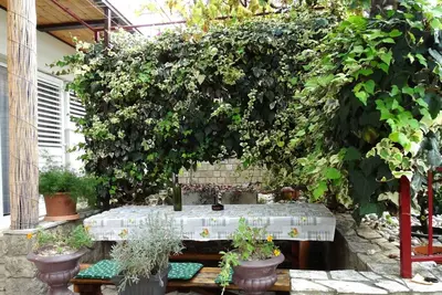 Image de Peaceful and Cozy Apartment with Terrace - One Bedroom Apartment with Terrace