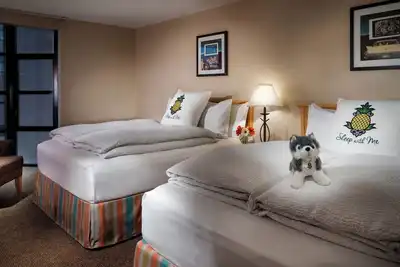 Image de Charming Room  with Fun Tropical Decor Short Walk from Univ. of Washington