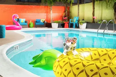 Image de Bright Two Queen Stay, Near Burke Museum, Staypineapple, 2 Rooms