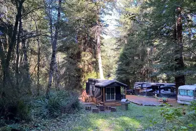 Image de The Black Bear Cabin - 2 bedrooms in the redwoods