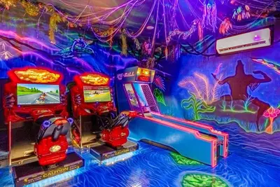 Image de Avatar game room, Star Wars bunk room, Frozen, 22 guests