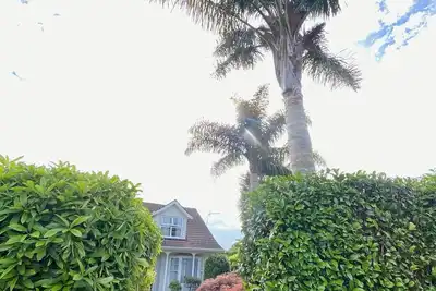 Image de Two Palms Cambridge, peaceful and safe and pet friendly