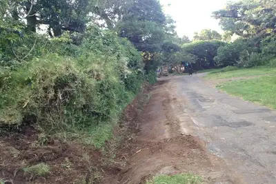 Image de Farm in heredia with tons of forest and great hikes