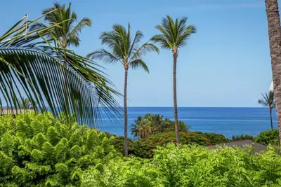 Image de Great place, Saturday to Saturday  only Dec 20until Jan 3 left now.