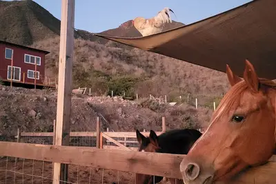 Image de Charming casita on Lucky Tree Ranch horse ranch with 360° Views Ocean Mountains