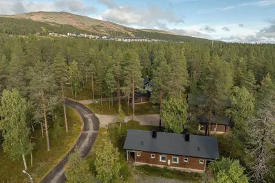 Image de Tunturimustikka A by Hi Ylläs