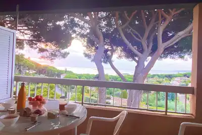 La pinède et la mer