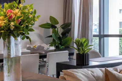 Image de Luxurious Living Wynyard Quarter