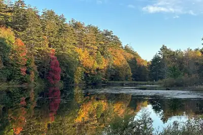 Image de Charming 2br semi-rural home in Southern Vt - amazing setting & modern amenities
