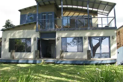 Image de Beachfront Seagulls on Shoalhaven