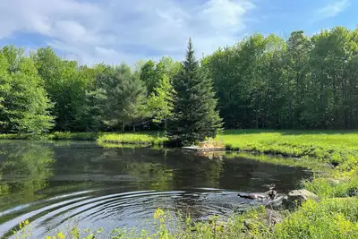 Image de Havre De Paix En Campagne ENTOURÉ D’Une Foret PRIVÉE Avec Sentiers Et ÉTANG.