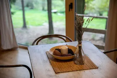 Image de Cabane avec une belle vue sur la forêt