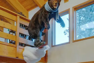 Image de Bear Tracks & Ski Racks! Unique luxury home with a Bear Cave!