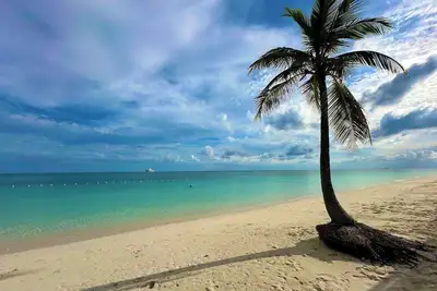 Image de Palm Tree Cove - Stunning Partial Ocean Views; Beachfront Location!