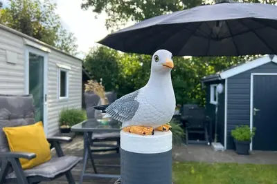 Image de Vacation home for 4 guests with 40m² in Callantsoog (265967)