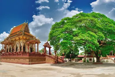 Image de Family fun and Minneapolis nature are in bloom