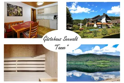 Image de Vacation apartment/apartment for 4 guests with 43m² in Schluchsee (268609)