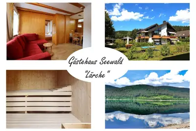 Image de Vacation apartment/apartment for 4 guests with 43m² in Schluchsee (268610)