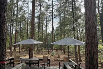 Image de Cozy Pines Cabin Mountain Retreat, Pinetop Lakes Cc, Golf Hike Bike Fish Relax!