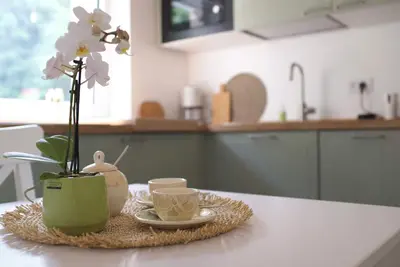 Image de Apartment \"Alchemy\" An oasis of peace surrounded by forests, vineyards and apple orchards