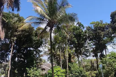 Image de Single storey house with private pool, barbecue and nature. Close to the beach!