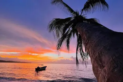 Image de Tropical Vibe Home | Pool | Walk to Beach & Dining