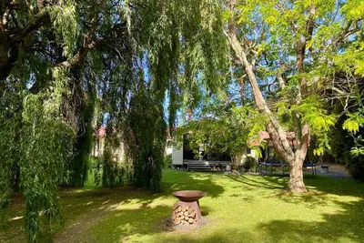 Image de Weeping Willow