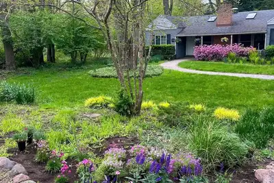 Image de Dream in a forest of 4-Bd and 3ba