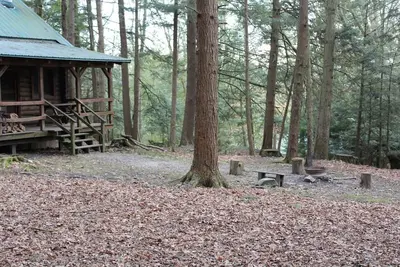 Image de Cozy Log Cabin in Cook Forest