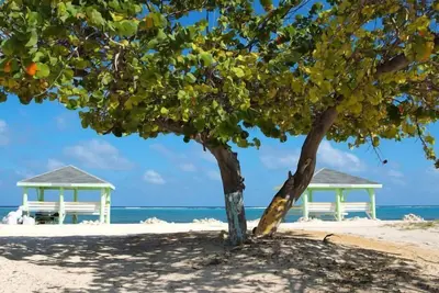 Image de Charming 2-bedroom apartment in beautiful West Bay with WiFi, Ac