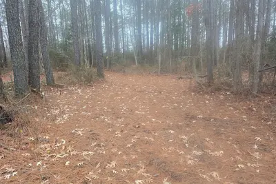 Image de Rv Site On Blanchard Farm -Max Rv Length 24 Ft