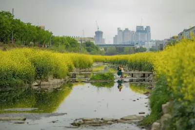 Conveniences and space to be in Biltmore