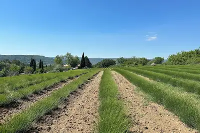 Image de Lavender Farmhouse, Goult (5 ensuite bedrooms)
