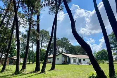 Image de Gîte \"Les pins\" - Came