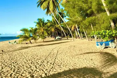 Image de Relax in Style at Boca Del Mar
